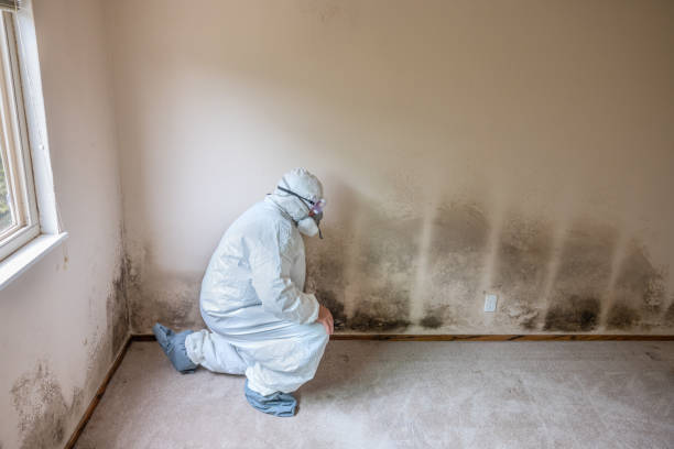 Brookfield, NJ Mold Remediation Company